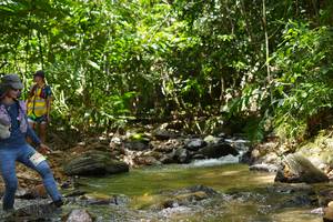 BIB: 
                            <button type="button" onclick="openModal(21849350)" class="btn btn-primary btn-sm float-right btn-popup" data-toggle="modal" data-target=".modal-high-quality">
                        <i class="fas fa-shopping-cart"></i> Add to Cart
                    </button>
                                            <button type="button" onclick="isThisMe(21849350, true)" class="btn btn-success btn-sm float-right btn-popup btn-isme hidden" data-toggle="tooltip" data-placement="bottom" title="นี่คือรูปของคุณใช่ไหม คลิกที่นี่เพื่อเอาเข้าอัลบั้ม">
                        <i class="fas fa-plus"></i> Add to album
                    </button>
                    <button type="button" onclick="isThisMe(21849350, false)" class="btn btn-warning btn-sm float-right btn-popup btn-isnotme hidden">
                        <i class="fas fa-ban"></i> Remove from album
                    </button>